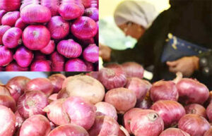 Asia biggest market gave indications, onion is going to make us cry tears due to inflation